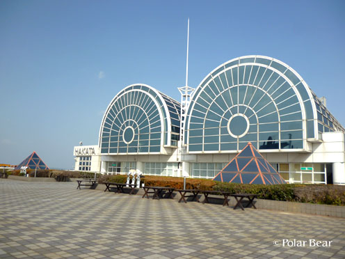 博多国際ターミナル