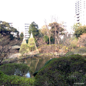 新宿区　甘泉園公園