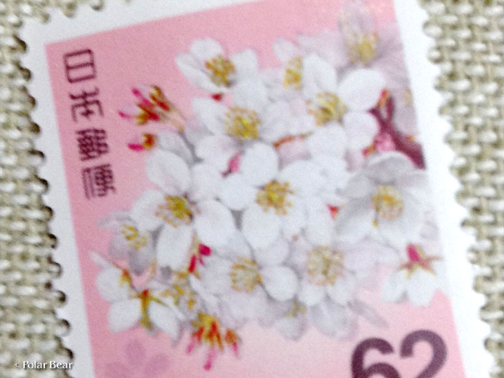 新しい62円切手　ソメイヨシノ