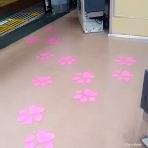 東急　世田谷線　幸福の招き猫電車　車内の床にはピンク色の猫の足跡