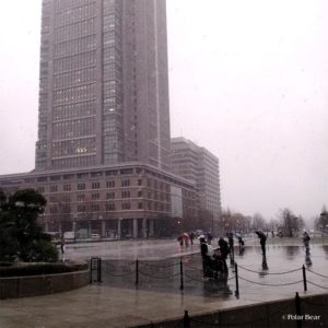 雪の日の東京駅　株式会社　ポーラベア