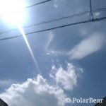 2018年　大暑　ポーラベア　東京都　40度超え　初観測