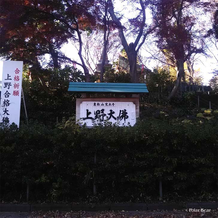 上野公園　上野大仏　ポーラベア