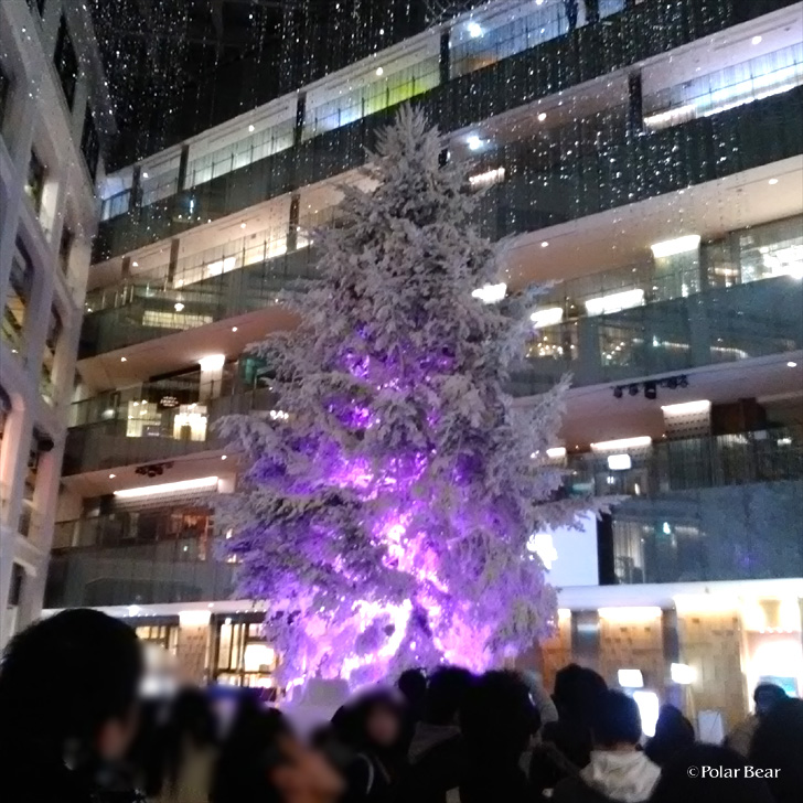 東京駅　KITTE　クリスマスツリー　ポーラベア