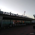 羽田空港　国際線ターミナル　ポーラベア