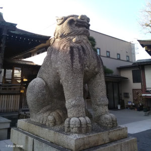 新宿区　北新宿　鎧神社　よろい　狛犬　散策　お参り　ポーラベア