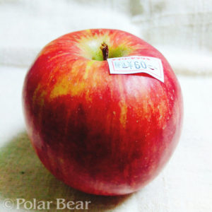 ポーラベア　株式会社ポーラベア　青森県産　リンゴ　林檎　りんご