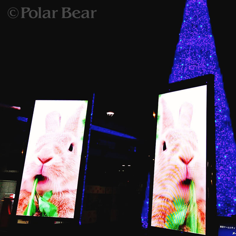 ポーラベア　株式会社ポーラベア　東京ドームホテル　クリスマスツリー　クリスマス　イルミネーション